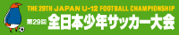 第29回全日本少年サッカー大会のページへ